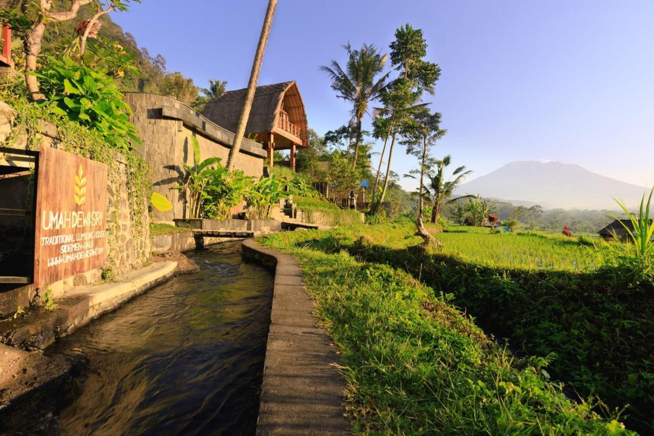 Like Living In A Romantic Balinese Painting Sidemen  Εξωτερικό φωτογραφία